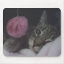 Search for siamese cat mousepads Photography