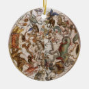Search for the southern ornaments Stars
