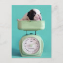 Search for weight scale postcards Animal