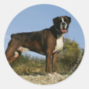 Search for dog show stickers Standing