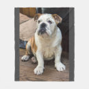 Search for english bulldog blankets Animals