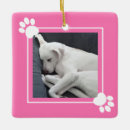Search for puppy ornaments Simple