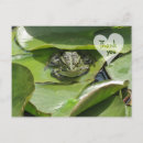 Search for green friendly cards Nature