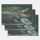 Search for reptiles wrapping paper Australia