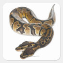 Search for python stickers Animal