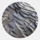 Search for turkey feather stickers Brown