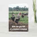 Recherche de poulet drôle vœux cartes Collègue
