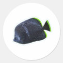 Search for fish lover stickers Marine life