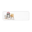 Search for shih tzu return address labels Pet