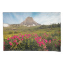 Search for national park pillowcases Snow