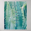 Search for agave posters Botanical