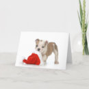 Search for english bulldog christmas cards Animals