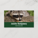 Recherche de raccoon cartes visite Drôle