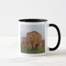 Search for grassland mugs Wild