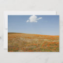 Search for reserved photography Outdoors