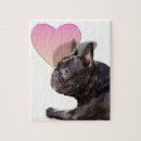 Recherche de le bouledogue puzzles Animaux familiers
