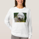 Search for goldendoodle gifts Dogs