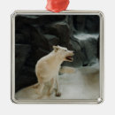 Recherche de loups blancs ornements Nature