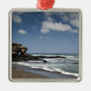 Search for ecuador ornaments Galapagos