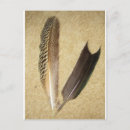 Search for flight feather postcards Animal