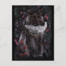 Recherche de aristocratique cartes postales Chat