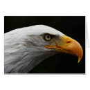 Search for wild bird cards Yellow
