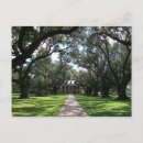 Search for plantation postcards Louisiana