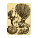 Recherche de méduse magnets Dollar de sable