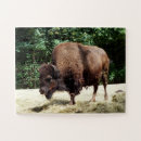 Recherche de bison puzzles Animal