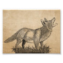 Recherche de photo de loup posters Rustique