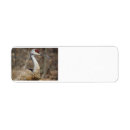 Search for wild birds return address labels Wildlife