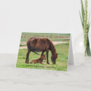 Search for foal birthday cards Cute