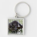 Search for koala keychains Tree