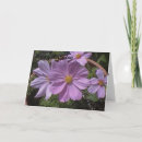 Search for pink flowers birthday cards Girly