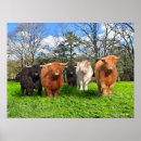 Recherche de terre haute posters Animaux de ferme