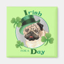 Recherche de paddy de st magnets Shamrock
