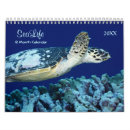 Search for fish calendars Sealife
