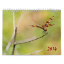 Recherche de damselfly Macro