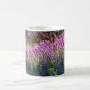 Recherche de anglet tasses Pour tous