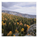Recherche de la montagne posters Arbres