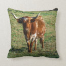 Search for brown cow pillows Western