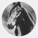 Search for horse image stickers Animal