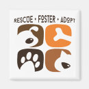 Search for foster magnets Rescue