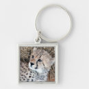 Search for cheetah cub keychains Big cats