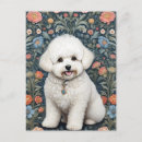 Search for bichon frise postcards Cute