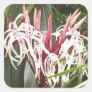 Search for perennials stickers Floral