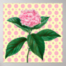Recherche de vintages de fleur posters Hydrangée