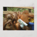 Search for panties postcards Panty