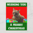 Search for tinsel christmas cards Xmas