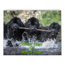 Search for water calendars Ocean